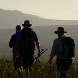 Track the team's progress