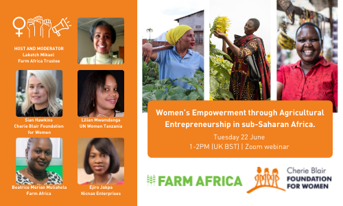 Webinar: Women's Empowerment through Agricultural Entrepreneurship in sub-Saharan Africa 