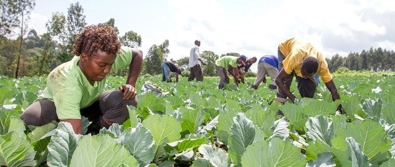At least 70% of the population in eastern Africa works in agriculture.