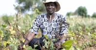 Help farmers grow secure futures