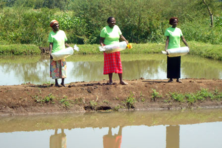 Women preparing to stock the fish pond with young fish