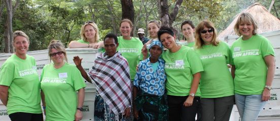 Buzzing with excitement about building beehives