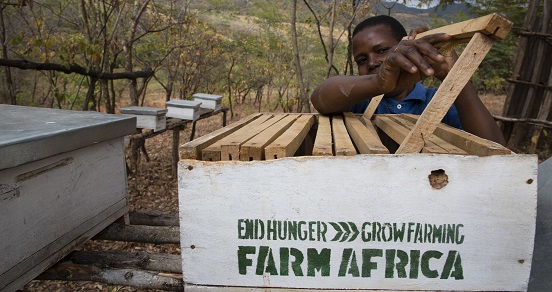 Joyce Lali with beehives in Erri village, Babati, Tanzania