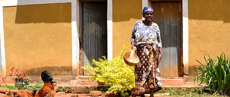 Through growing white sorghum and selling it to Mwailu Enterprises Cecilia's life has changed for the better