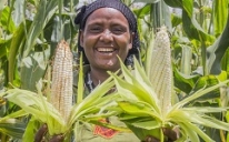 Help farmers survive a crisis