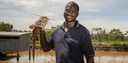 Thriving fishponds, thriving communities