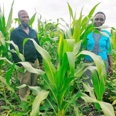 Silas Murichi on his farm in Embu County, Kenya