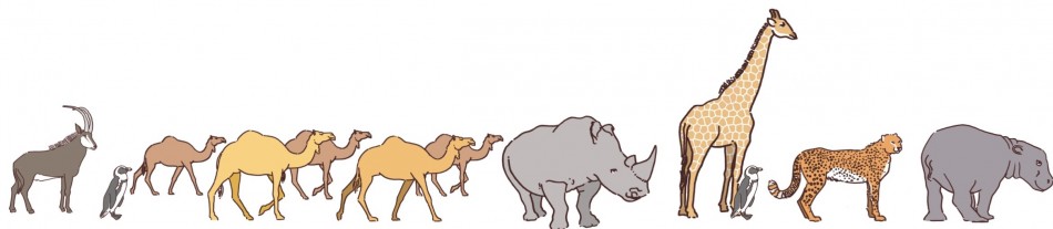 African animals walking left to right