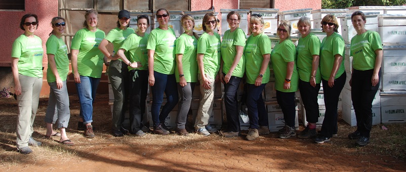 The Big Beehive Build 2017 team