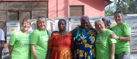 Food industry execs break beehive building record