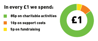 Farm Africa expenditure ratios 2019