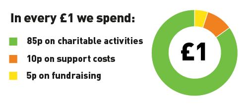 Farm Africa expenditure ratios 2019