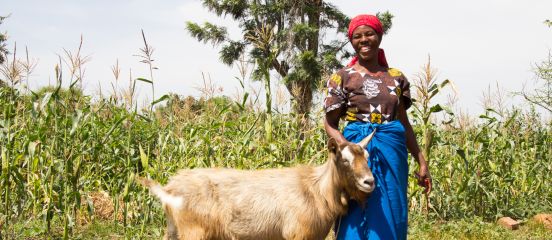 Farm Africa secures $2 million investment to expand Sidai 