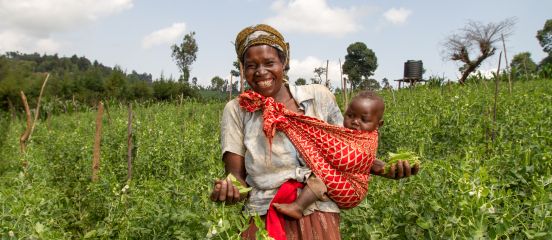 INGOs and the private sector - a marriage made in heaven or hell?