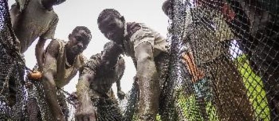 Fish farmers in Kenya enter the digital age