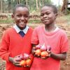 Farm Africa announces #GivingTuesday match funding, helping primary schools in Nairobi to grow