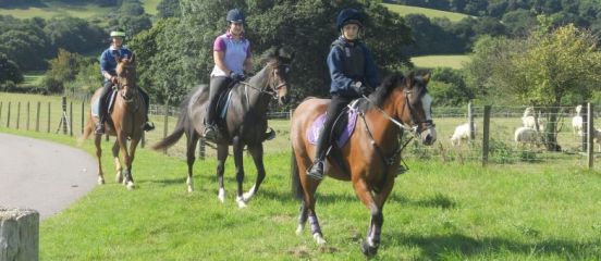 Farmer stages annual Ride for Africa across Sussex countryside