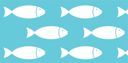 Topics we talk about