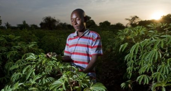 The view from Paris: what climate change means for smallholder farmers