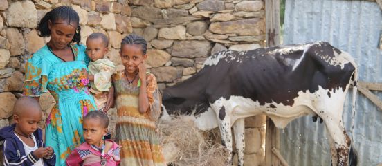 Beekeeping causes a buzz in Ethiopia
