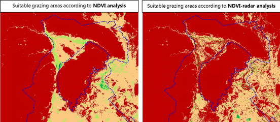 Mapping pasture quality in Afar, Ethiopia
