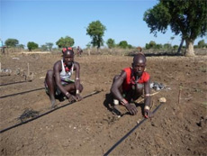 Pastoralist farmers installing drip irrigation into fields affected by drought in South Omo