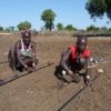 New skills and tools to help pastoralists cope with drought
