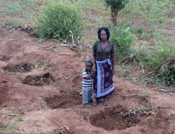 A Kitui farmer standing by some water conserving zai pits