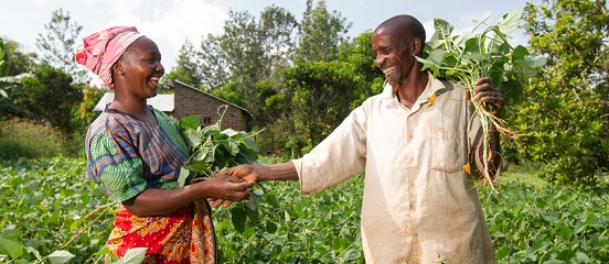 Farm Africa calls for support for 'first mile' agribusinesses