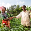 Farm Africa calls for support for 'first mile' agribusinesses