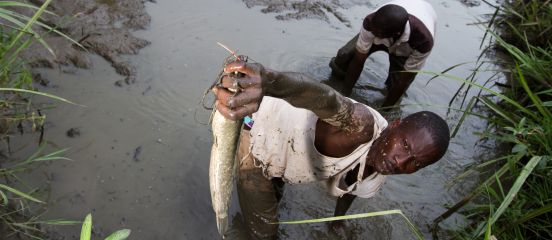 Using text messaging to train fish farmers