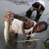 Using text messaging to train fish farmers