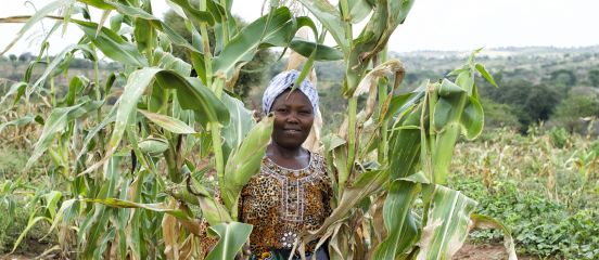  New Farm Africa project to help boost grain trade across eastern Africa