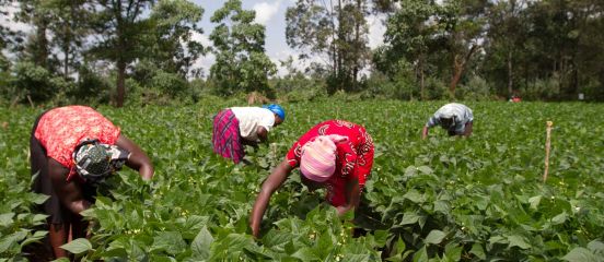Aldi launches new partnership with Farm Africa to help tackle poverty in rural Africa