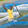 Fish feed trials underway in western Kenya