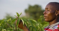 The three key ingredients necessary to achieve food security in Africa