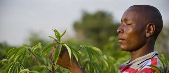 The three key ingredients necessary to achieve food security in Africa