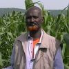 Bringing maize back to farms in Bale