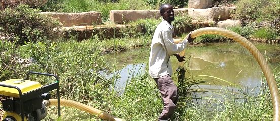 Green shoots of hope in the Ethiopian mountains