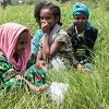 Green shoots of hope in the Ethiopian mountains