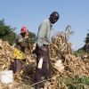 Ugandan and Tanzanian cooperatives wage war on waste and poverty