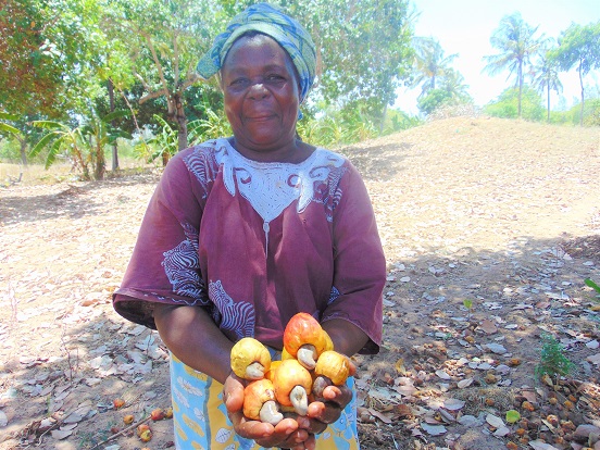 Kenyan cashew farmer - Anna