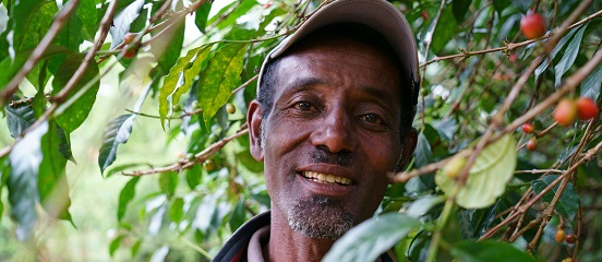 New project helps 130,000 small-scale coffee farmers in Oromia, Ethiopia