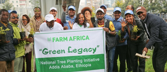 How lasting will Ethiopia's Green Legacy be?