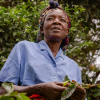 Farm Africa's Coffee is Life appeal raises more than £300,000