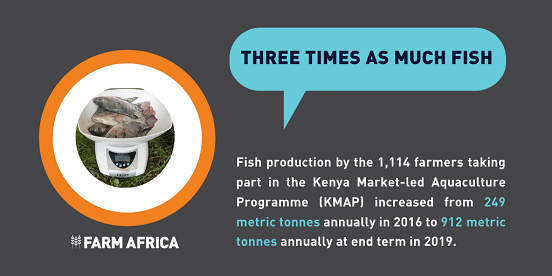 Fish production more than trebled.