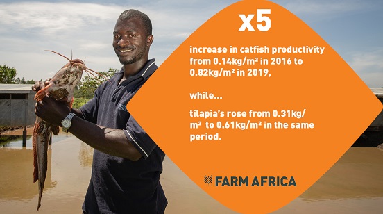 Catfish productivity increased more than fivefold, while tilapia productivity nearly doubled.