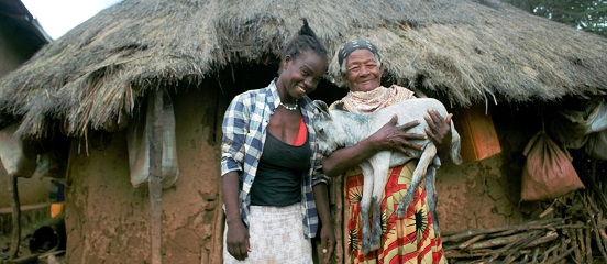 Pita handing a goat kid to Shegitu as part of Farm Africa's revolving goat scheme in Ethiopia.