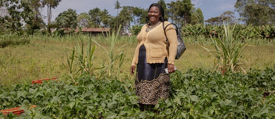 Tackling youth unemployment through horticulture 