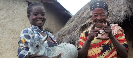 Goat kids bring hope for Shegitu's kids